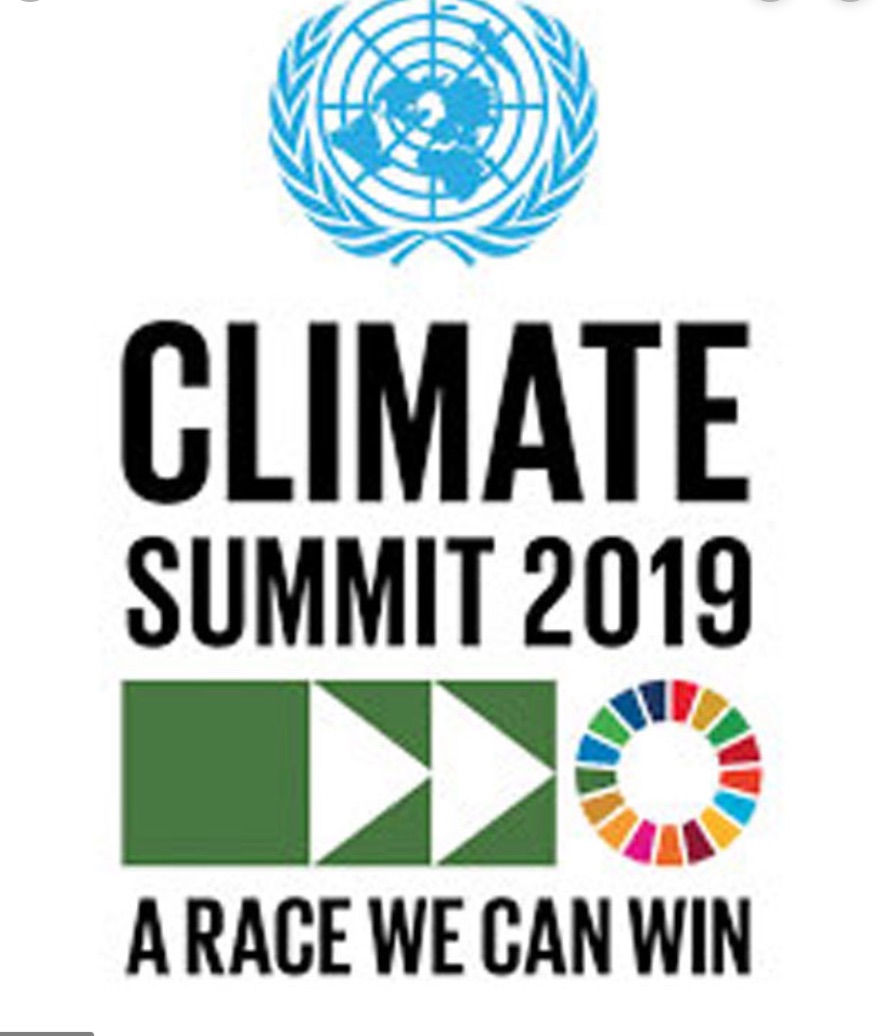 A logo for the united nations climate summit.