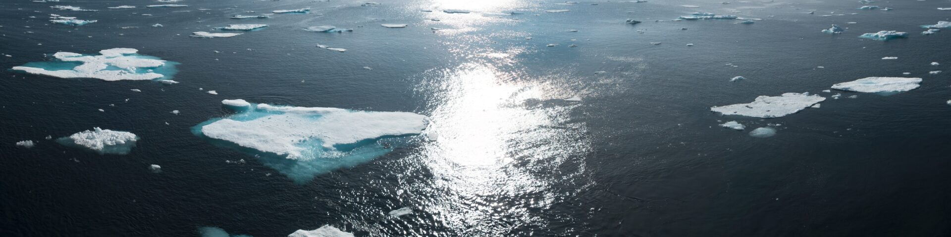 Ice bergs in the ocean