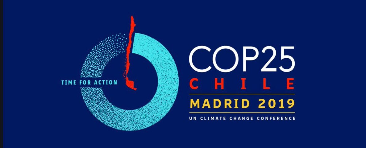 COP 25 conference poster