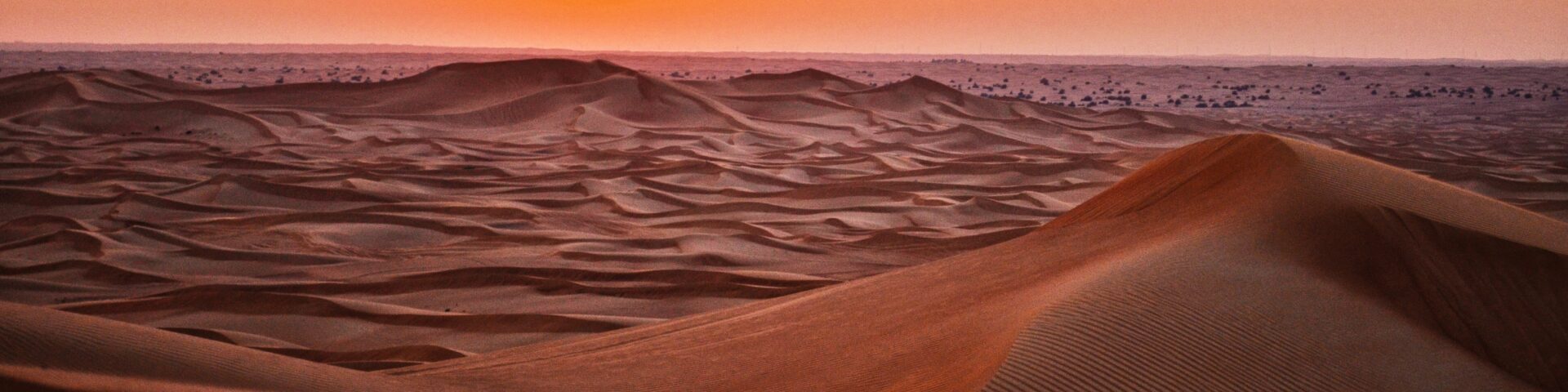The desert during sunset